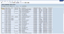 SAP (PM) kavramsal tasarm ve modl danmanlk hizmetleri
